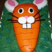24 Carrot Bunny